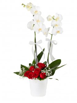 Çift Dal Beyaz Orkide Ve Güller