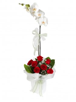 Tekli Beyaz Orkide Ve Güller